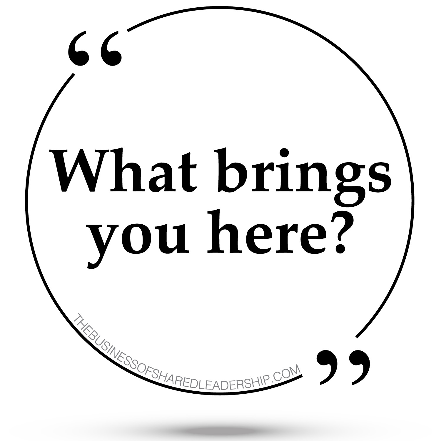 What Brings You Here? The Business of Shared Leadership